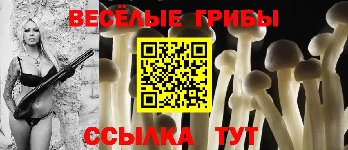 Галлюциногенные грибы ЛСД Владикавказ