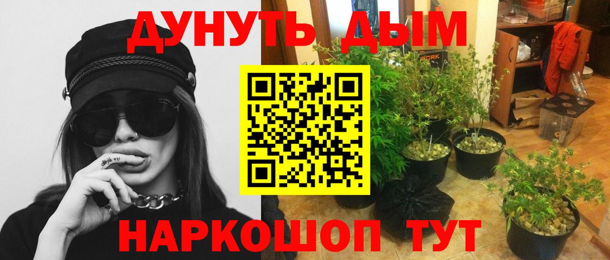 Канабис планчик  Шишки марихуана планчик  Бошки Шишки семена  Бошки марихуана THC 21%  Вход с VPN  Владикавказ 